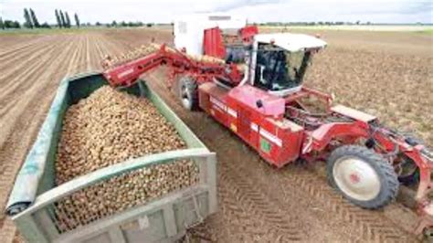 Potato harvesting - A pictorial compilation - YouTube