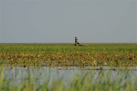 Call for Wetland Decade under the United Nations Decade on Ecosystem ...