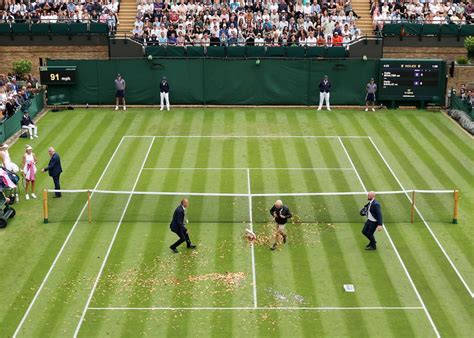 2023 Wimbledon halted after protestors throw puzzle onto court