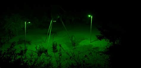 Top 8 Best Hog Hunting Lights 2023 - Buying Guide