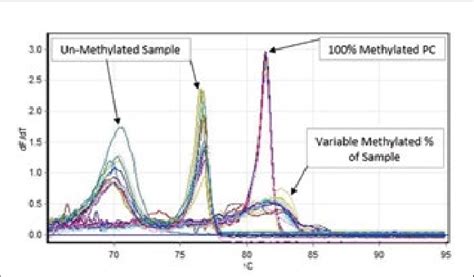 Melt curve analysis assays (HRM) for CDKN2B gene methylation and the ...