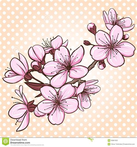 flor del cerezo dibujo - Buscar con Google | Cherry blossom vector, Cherry blossom drawing ...