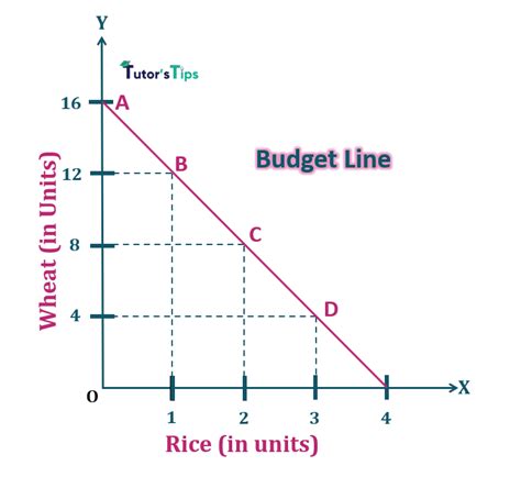 Consumer's Budget- Budget set and Budget Line – Tutor's Tips