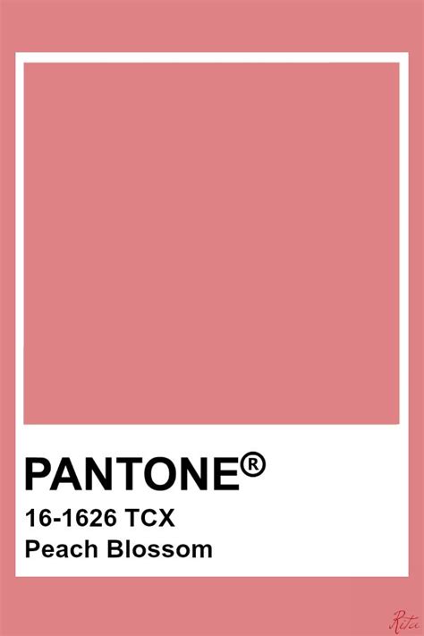 Pantone Peach Blossom | Pantone colour palettes, Pantone color, Pantone pink