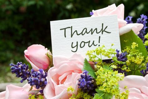 Different Ways Of Saying "Thank You" With Flowers » FloraQueen EN