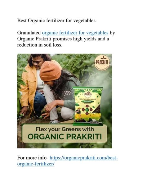 PPT - Best Organic fertilizer for vegetables PowerPoint Presentation ...