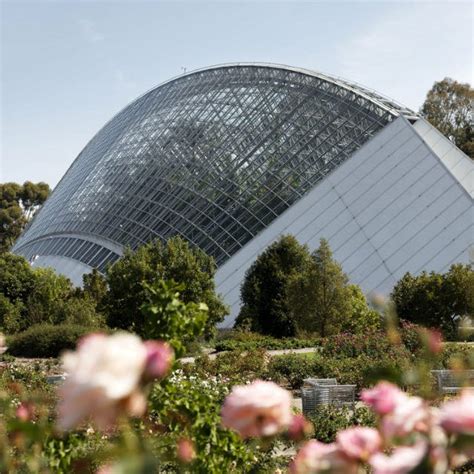 Adelaide Botanic Garden