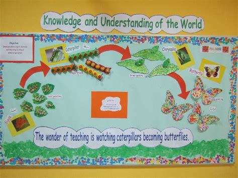 Life Cycle of a Butterfly classroom display photo - SparkleBox | Butterflies classroom ...