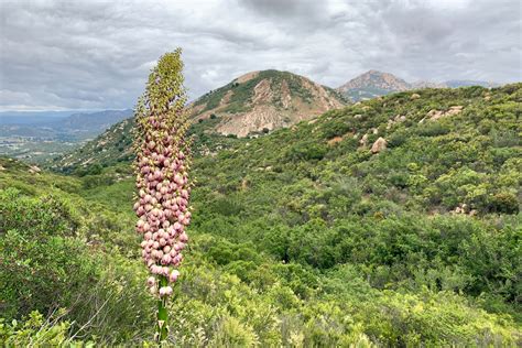 El Cajon Mountain | Outdoor Project