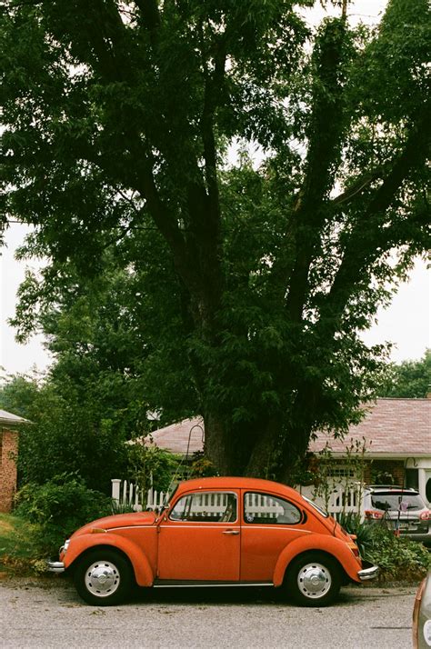 red car parked near green tree during daytime photo – Free Film photography Image on Unsplash