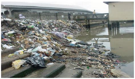 Prevalence of health challenges blamed on poor human waste disposal - EnviroNews Nigeria