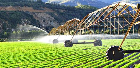 India's Jain puts Israeli irrigation co NaanDanJain up for sale - Globes