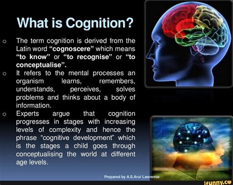 What is Cognition? The term cognition is derived from the Latin word ...