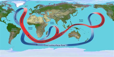 Thermohaline Circulation Diagram | Quizlet