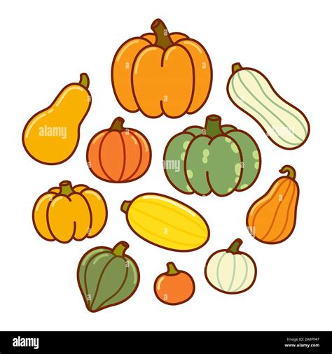 Cartoon drawing of different types of pumpkin and squash. Autumn harvest vegetables, vector hand ...