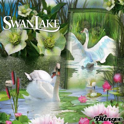 swan lake Picture #135612213 | Blingee.com
