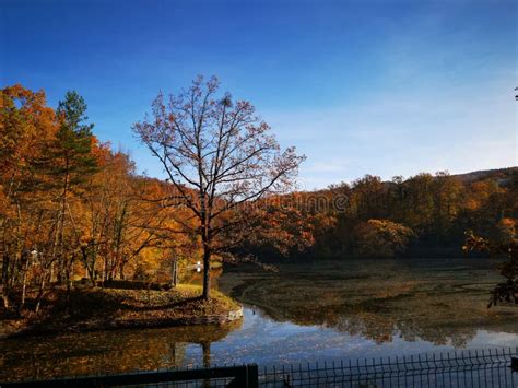 Bear Lake Sovata, Romania -heliothermal Lake Unique Stock Photo - Image of opportunities, autumn ...