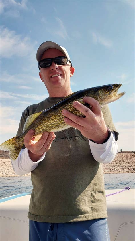 Which Walleye Lures Land Trophy Fish | Fishing Munk