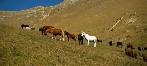 ITB - Travel Industry News - ARMENIA: THE PERFECT DESTINATION TO ...