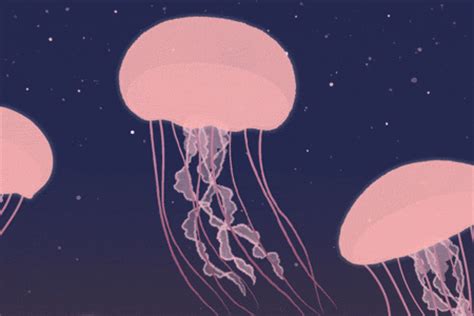 Alyssa Scott Illustration — Jellyfish *refresh the page if not in sync*