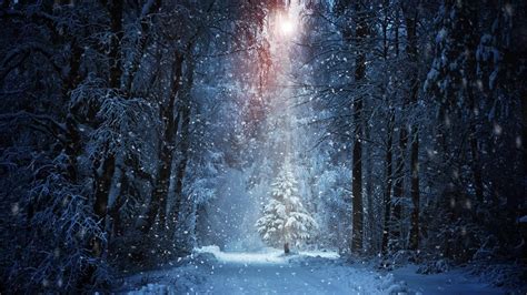 Snowfall Wallpapers - Top Free Snowfall Backgrounds - WallpaperAccess