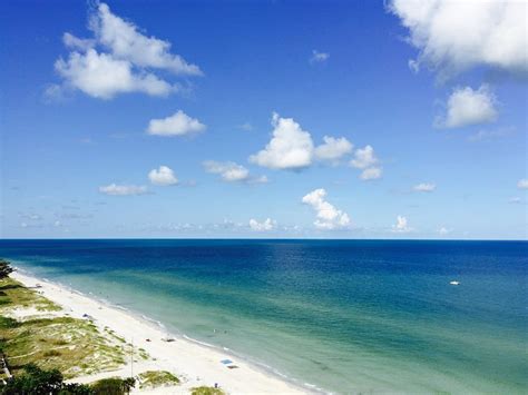 Pin by Gulfside Resorts on Indian Rocks Beach Florida | Indian rocks beach florida, Florida ...