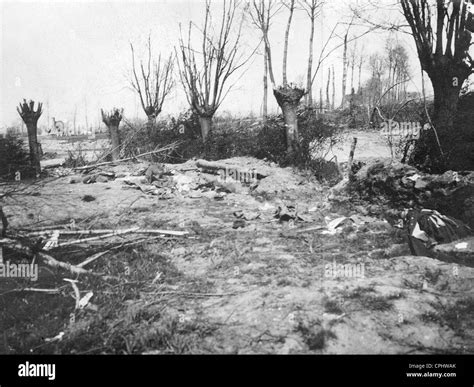 Langemarck 1914 hi-res stock photography and images - Alamy