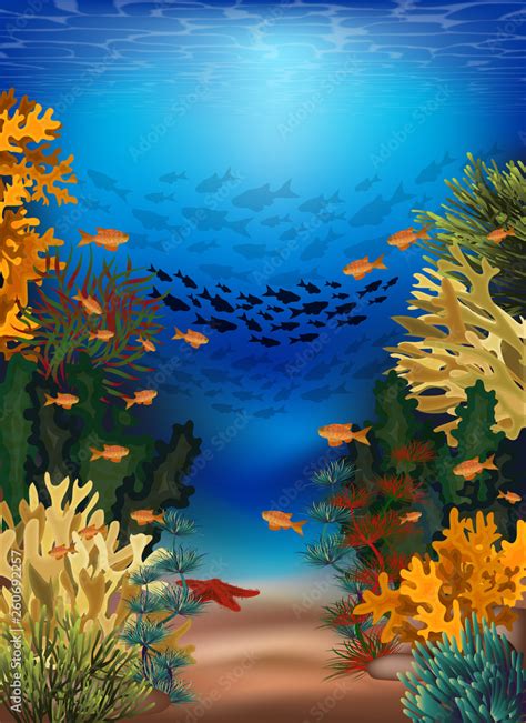 Underwater banner with algae and tropical fish, vector illustration ...