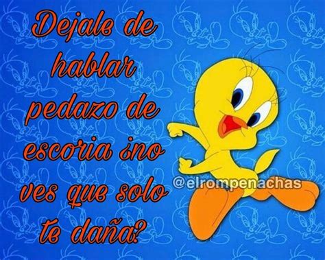 Total 56+ imagen frases piolin meme - Abzlocal.mx