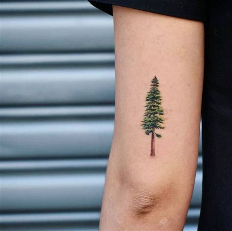 Aggregate more than 79 moon and pine tree tattoo - in.cdgdbentre