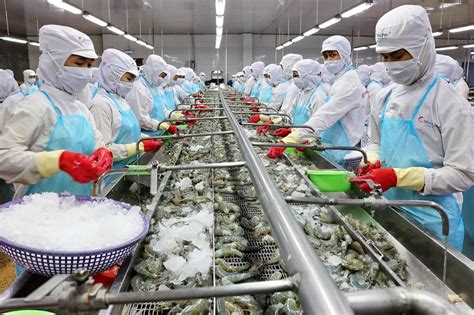 Shrimp exporters eye over US$4 billion in export in 2021 » Vietnam News - Latest Updates and ...