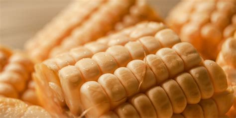 Corn Allergy | NY Allergy & Sinus Centers