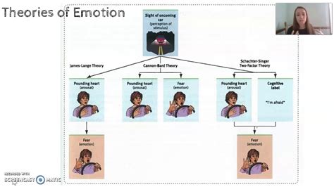 Theories Of Emotion Chart