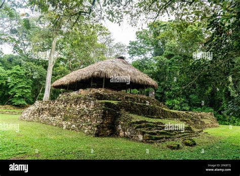 Ancient Maya archaeological site of Bonampak, Chiapas, Mexico, North America Stock Photo - Alamy