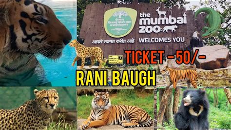 Rani Bagh Mumbai 2022 | Complete Tour Of Rani Bagh | Mumbai Byculla Zoo - YouTube