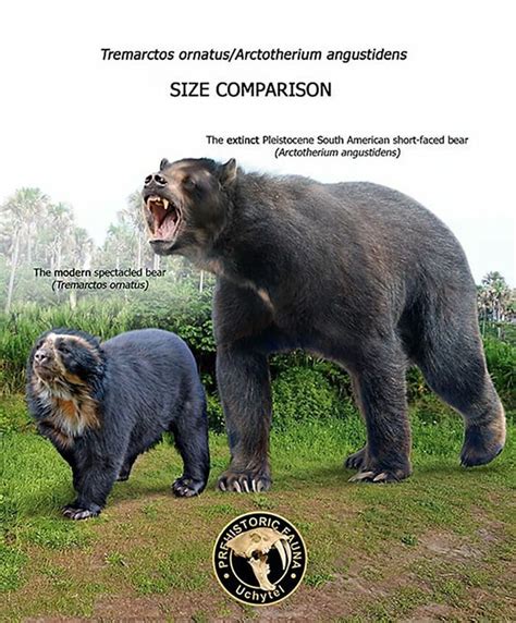 37 Comparisons Of The Sizes Of Prehistoric Animal Ancestors And Their ...