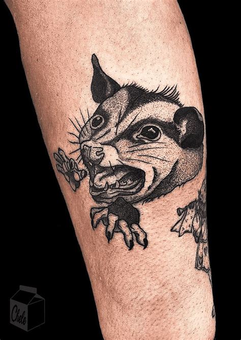 Possum Tattoo Design Images (Possum Ink Design Ideas) | Tattoos, Tattoo ...