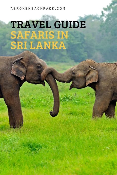 Best Safari In Sri Lanka: Yala Or Udawalawe? | 2024 | Travel fun, Asia travel, Paris travel