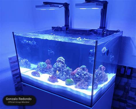 Waterbox Aquariums REEF