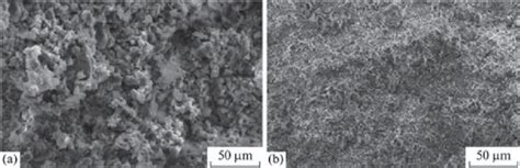 2 Microstructure of the cement materials with 40 wt% Mg 2+ substitution ...