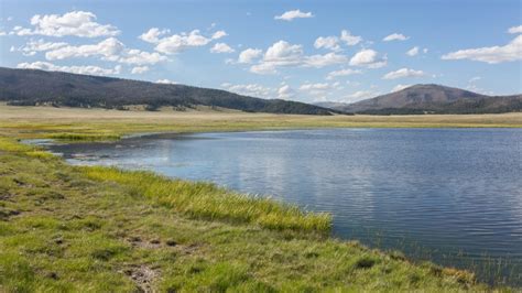 Valles Caldera National Preserve – The Lobo Life