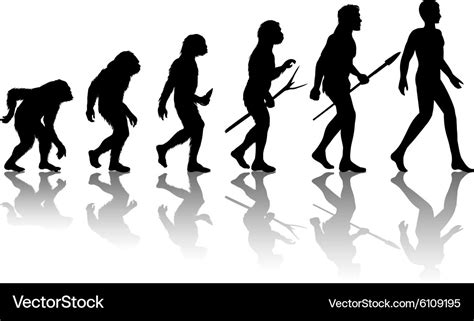 Man evolution Royalty Free Vector Image - VectorStock