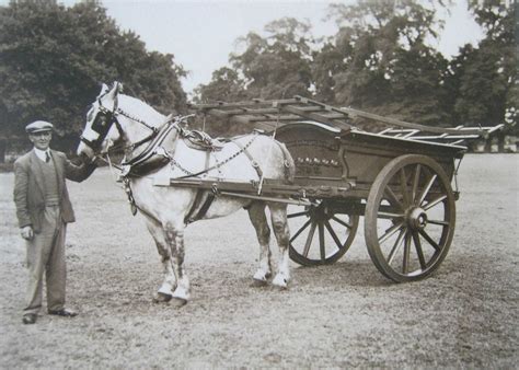 Gentleman with Horse & Cart at the Agricultural Show, Long Sutton - South Holland Life Heritage ...