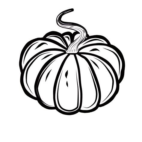 Pumpkin black, white, orange. PNG illustration with transparent background. 17229156 PNG