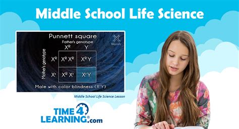 Middle School Online Biology Curriculum | Time4Learning