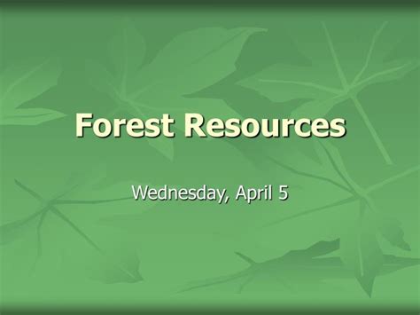 PPT - Forest Resources PowerPoint Presentation, free download - ID:3410809