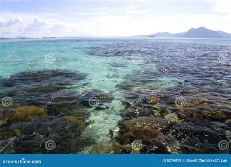 Coral Reef and Island stock image. Image of beach, earth - 5276093