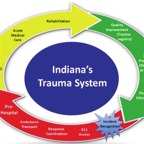 Trauma triad of death | Download Scientific Diagram