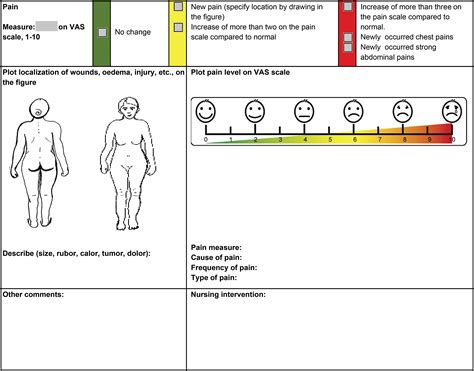 Home Care Nurses’ Experiences of the Use and Introduction of the ...