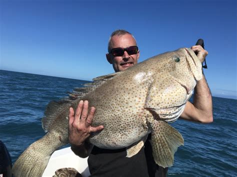 Cairns Fishing Charter Guide For Reef Fishing - Queensland - Great ...